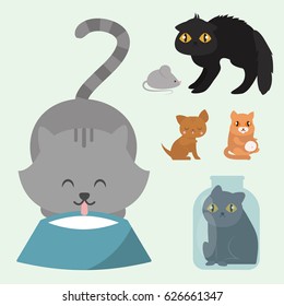 Cute cats character different pose funny animal domestic kitten vector illustration.