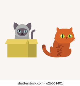 Cute cats character different pose funny animal domestic kitten vector illustration.