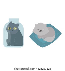 Cute cats character different pose funny animal domestic kitten vector illustration.
