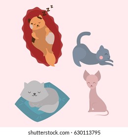 Cute cats character different pose funny animal domestic kitten vector illustration.