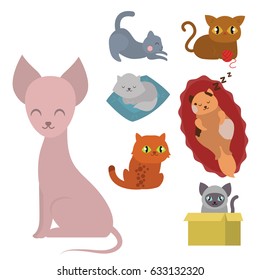 Cute cats character different pose funny animal domestic kitten vector illustration.