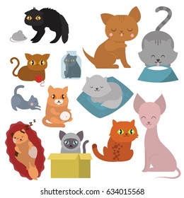 Cute cats character different pose funny animal domestic kitten vector illustration.