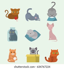 Cute cats character different pose funny animal domestic kitten vector illustration.