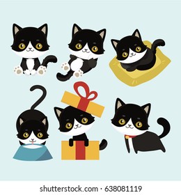 Cute cats character different pose funny animal domestic kitten vector illustration.