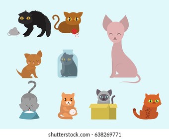 Cute cats character different pose funny animal domestic kitten vector illustration.