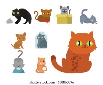 Cute cats character different pose funny animal domestic kitten vector illustration.