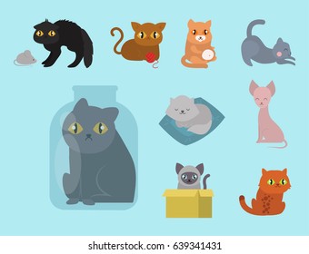 Cute cats character different pose funny animal domestic kitten vector illustration.