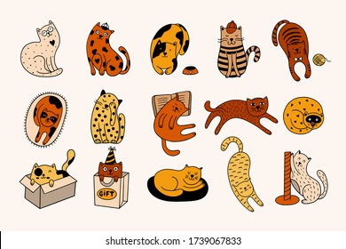 Cute cats collection consists of 15 hand-drawn kittens isolated on a white background. Doodle vector illustration with colorful pets.