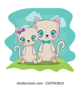 cute cats couple characters vector illustration