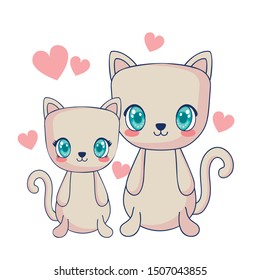 cute cats couple characters vector illustration