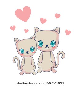 cute cats couple characters vector illustration