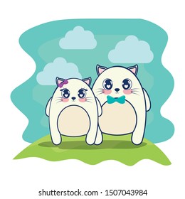 cute cats couple characters vector illustration