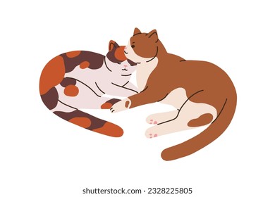 Cute cats couple. Funny feline animals friends lying together. Two adorable sweet kitties. Love and care concept. Kittens relaxing, sleeping. Flat vector illustration isolated on white background