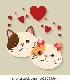 cute cats couple pets friendly