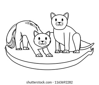 cute cats design