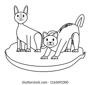 cute cats design