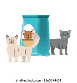 cute cats design