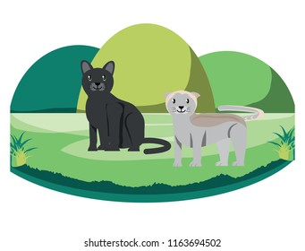 cute cats design