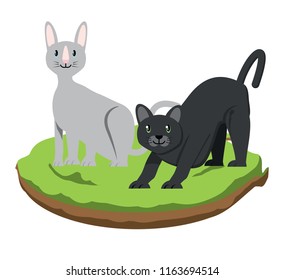 cute cats design