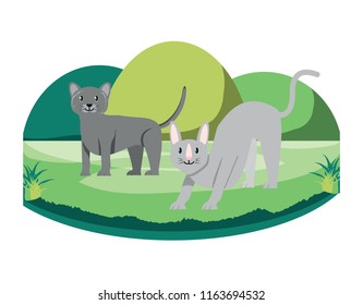 cute cats design