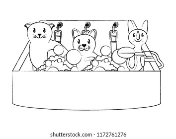 cute cats design