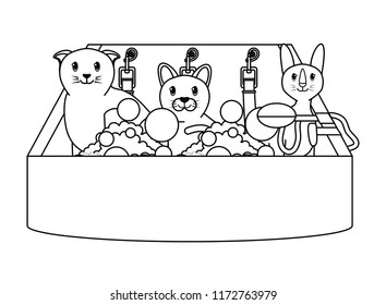 cute cats design