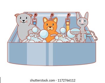 cute cats design