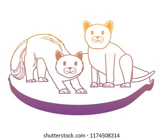 cute cats design