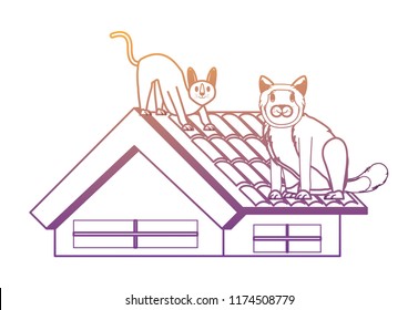 cute cats design