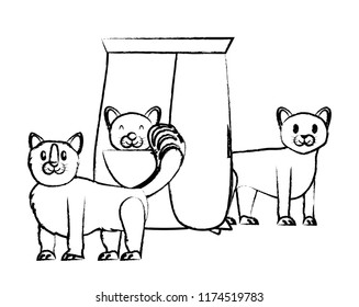 cute cats design