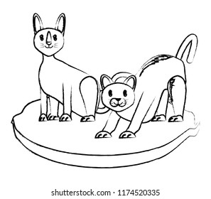cute cats design