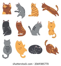 Gatos bonitos en diferentes poses.