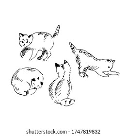 Cute cats in different poses. Sketch. Vector illustration.