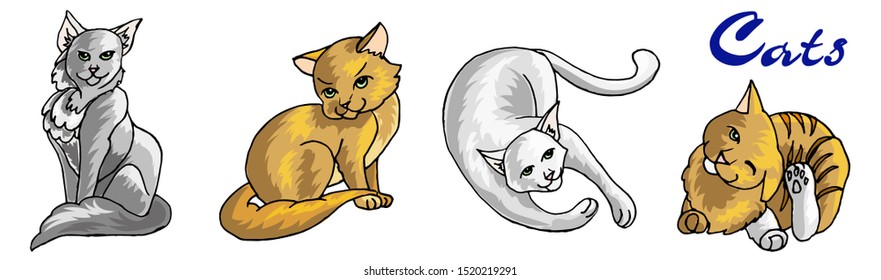 Cute cats in different positions