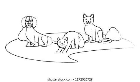 cute cats and dog
