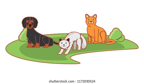 cute cats and dog