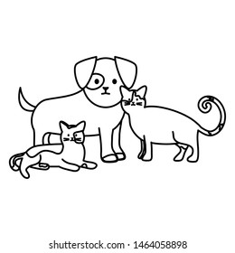 cute cats and dog mascots adorables characters