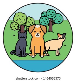 cute cats and dog mascots in the park