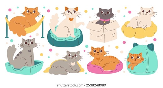 Gatos lindos personajes de animales domésticos sentados, durmiendo, jugando en casas de mascotas, cama, almohada o caja de cartón aislado conjunto. Gatitos mullidos divertidos que descansan en lugares cómodos Ilustración vectorial