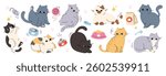 Cute cats doodle vector set. Cartoon cat or kitten characters design collection with cat element and flat color in different poses. Set of funny pet animals isolated on white background.