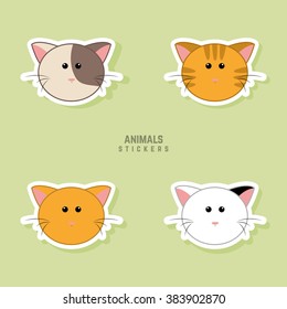 Cute cats Faces