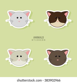 Cute cats Faces