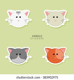 Cute cats Faces
