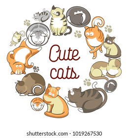 Cute cats with fluffy fur that lies in circle