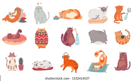 Cute cats. Funny cat in box, adorable sleeping kitty and fat cat in sweater vector illustration set. Domestic kitten lifestyle. Humorous pet working on laptop, doing yoga, listening to music stickers