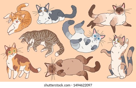 Cute cats. Funny kittens different breeds, pets sleeping and playing cartoon vector happy kitty face drawing logo characters set