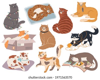 Cute cats. Funny kittens sleep, play and sit, catch mouse. Kitty in various pose, happy and sad cat. Cartoon vector pets isolated characters. Feline in different positions with ball of thread