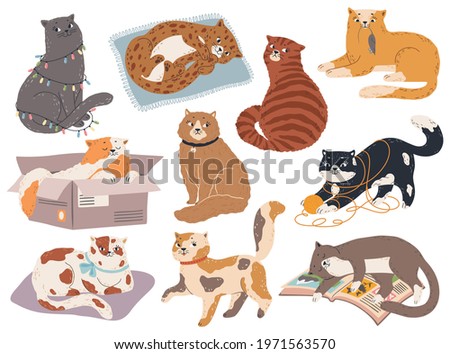 Cute cats. Funny kittens sleep, play and sit, catch mouse. Kitty in various pose, happy and sad cat. Cartoon vector pets isolated characters. Feline in different positions with ball of thread
