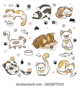 Cute cats and funny kittens in vector. Character collection in different poses. Set of adorable pets isolated on white background.