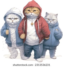 cute cats, gangster,hip hop clothes, lovely cats, costume